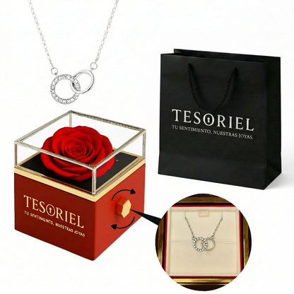 Caja de Rosa Eterna con Collar Aros Entrelazados - Tesoriel