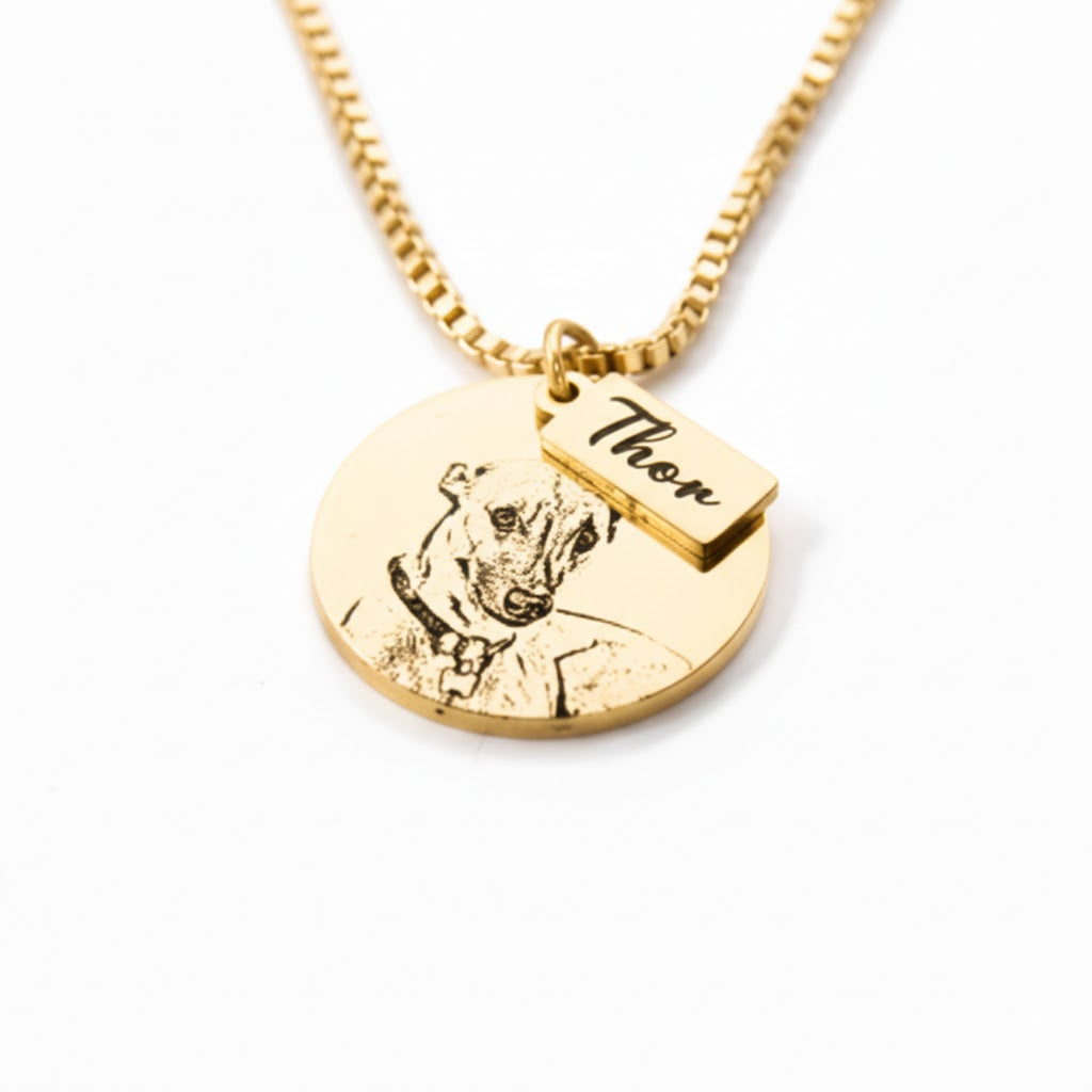 Colgante Circular Mascota Silueta Personalizable Dorado - Tesoriel