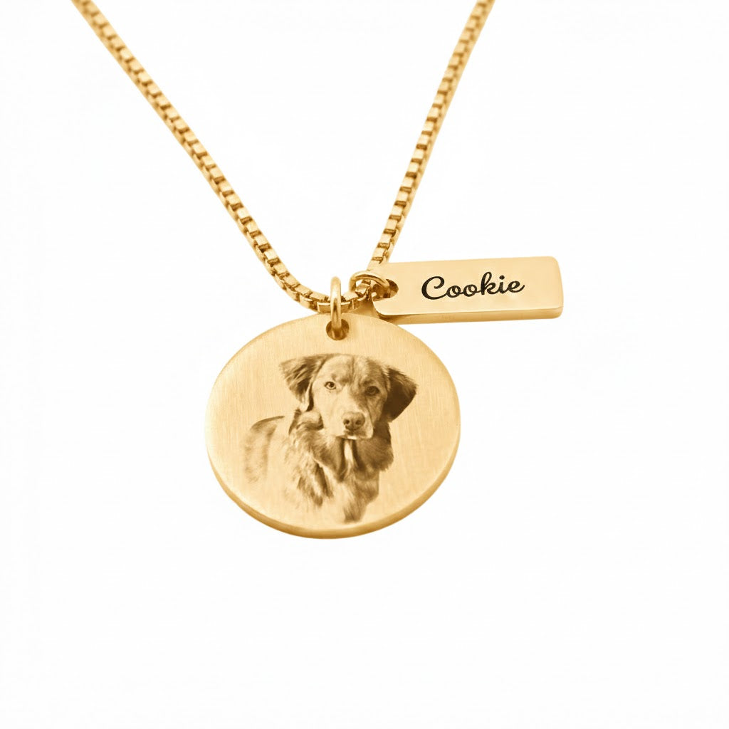 Colgante Circular Personalizable Mascota Dorado - Tesoriel