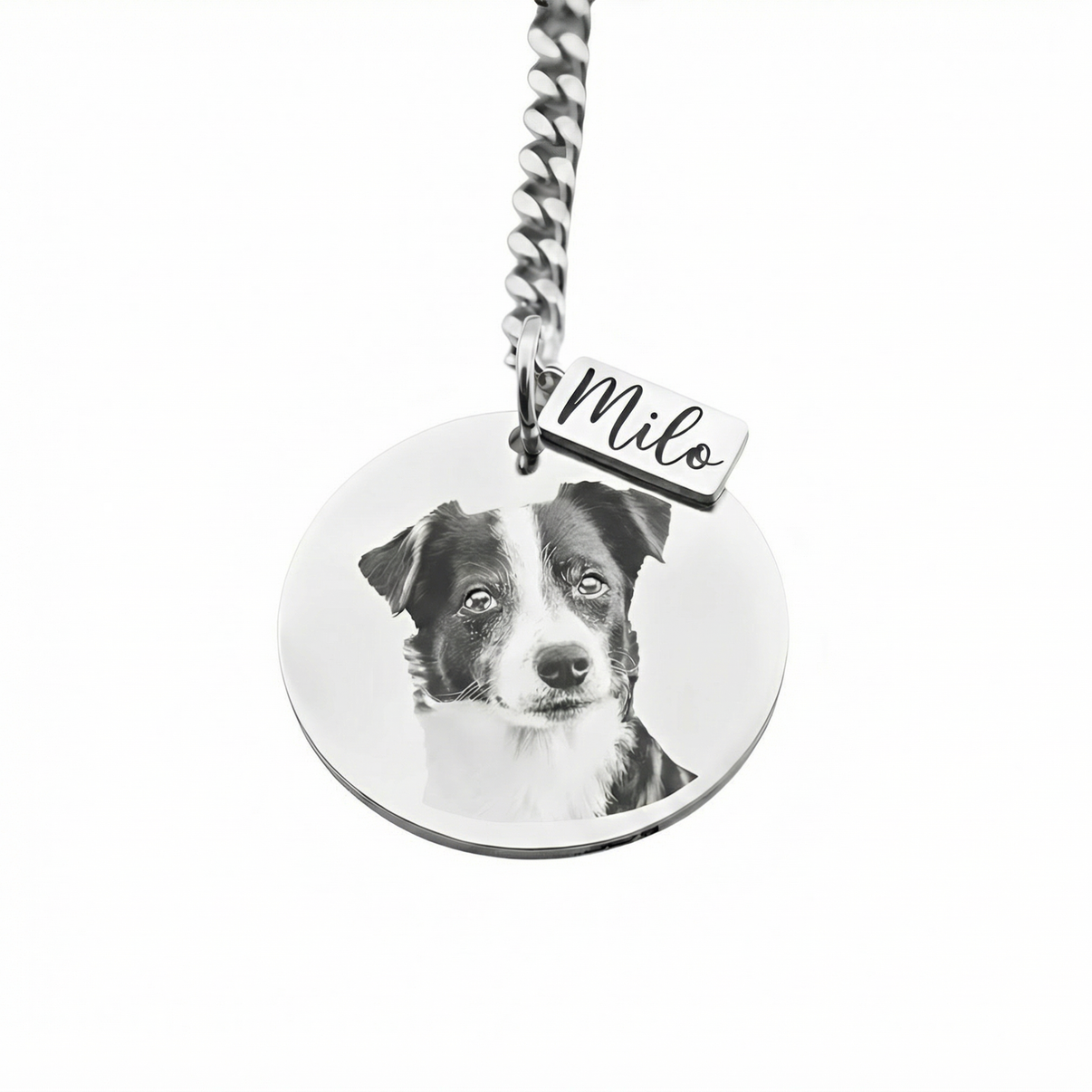 Llavero Circular Mascota Personalizable - Tesoriel