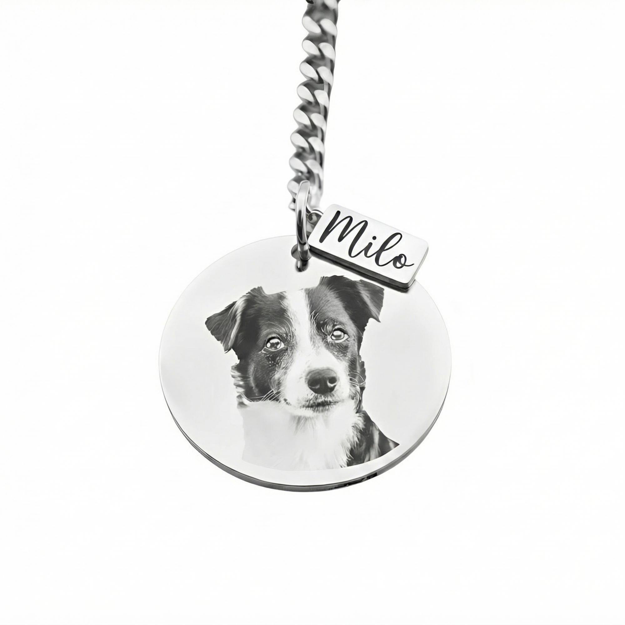 Llavero Circular Mascota Personalizable - Tesoriel